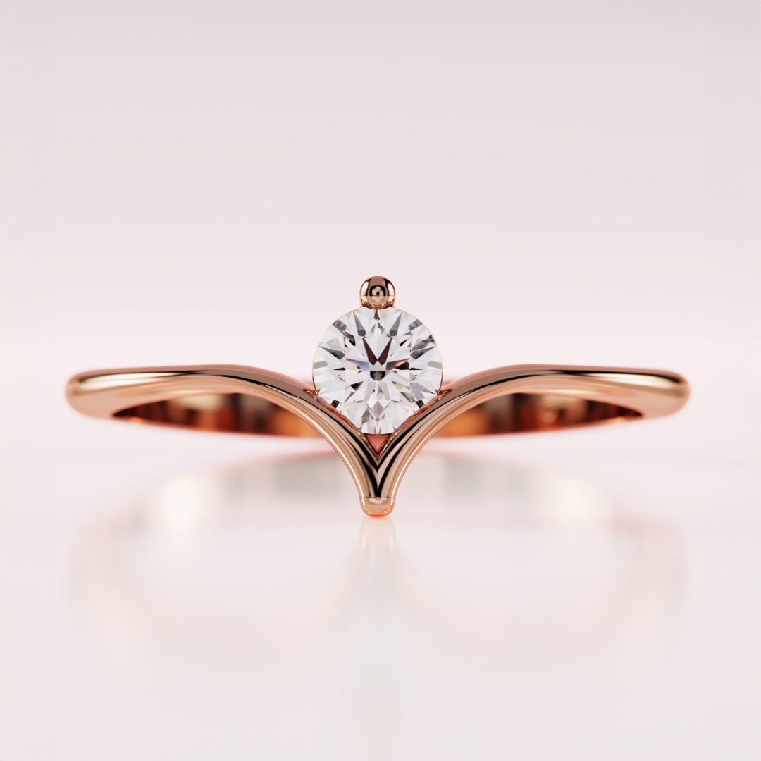 Anillos